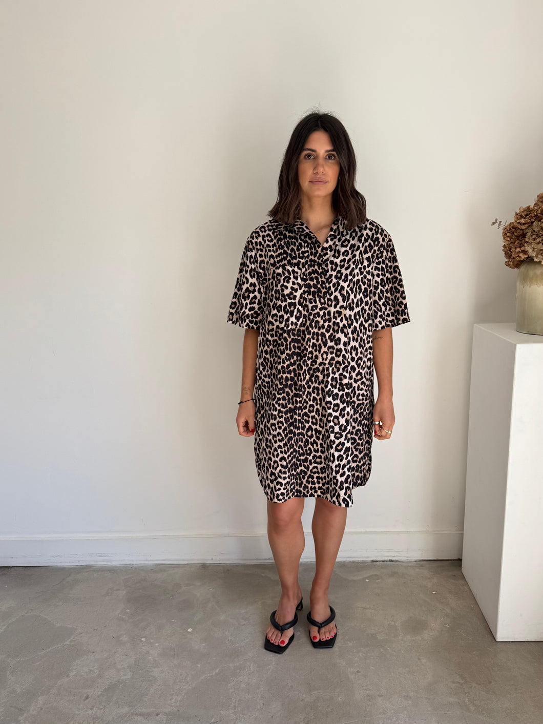 H&M Leopard Dress