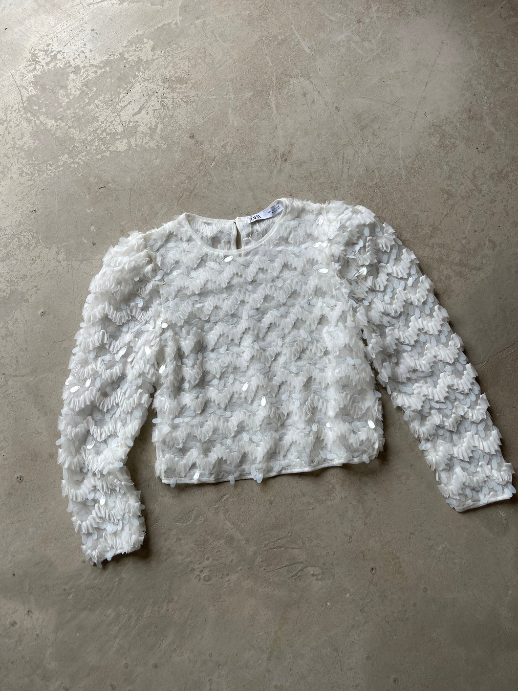 Zara Sequin Top